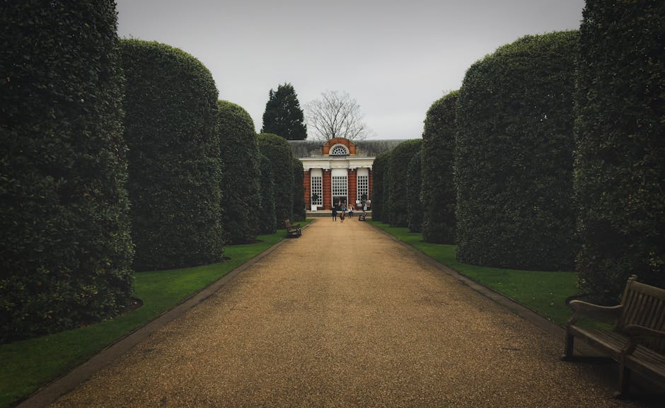 A wide gravel pathway leading towards a historic building with a white and red brick facade at Osterley Park, flanked by tall, neatly trimmed green hedges on both sides. Several people are visible near the entrance of the building, some standing and others walking, possibly involved in a home relocation or furniture transport process. The pathway is lined with wooden benches on each side, with one bench visible in the foreground on the right side. The scene is outdoors during overcast weather, with diffused natural light and a few leafless trees visible behind the building. The image captures elements relevant to moving logistics, such as the clear path for loading or unloading furniture or boxes, supporting the theme of packing and moving services offered by Hounslow Man and Van, especially relating to house removals with narrow access challenges.